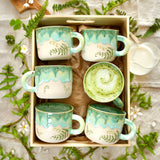 Fern Calm