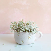 Daisy - cozy cup